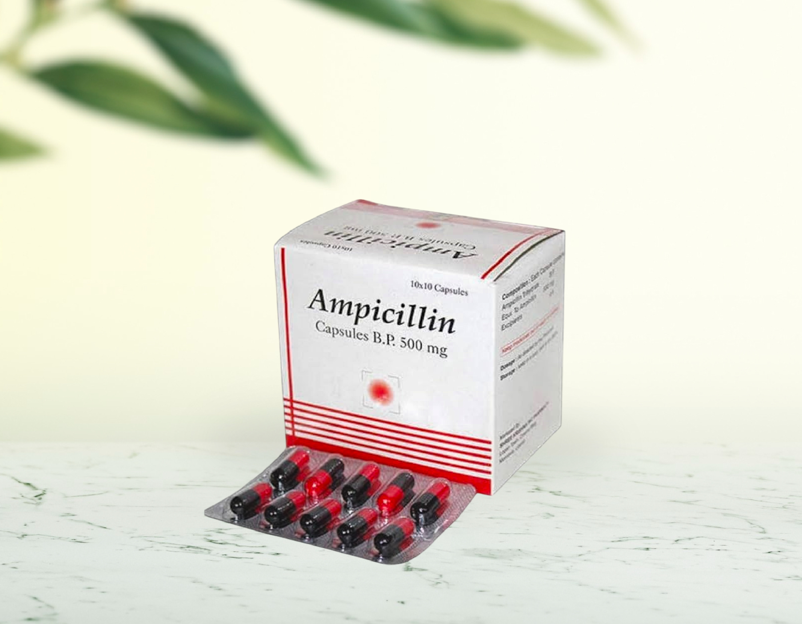 Buy Ampicillin Online – Reliable Antibiotic for Bacterial Infections